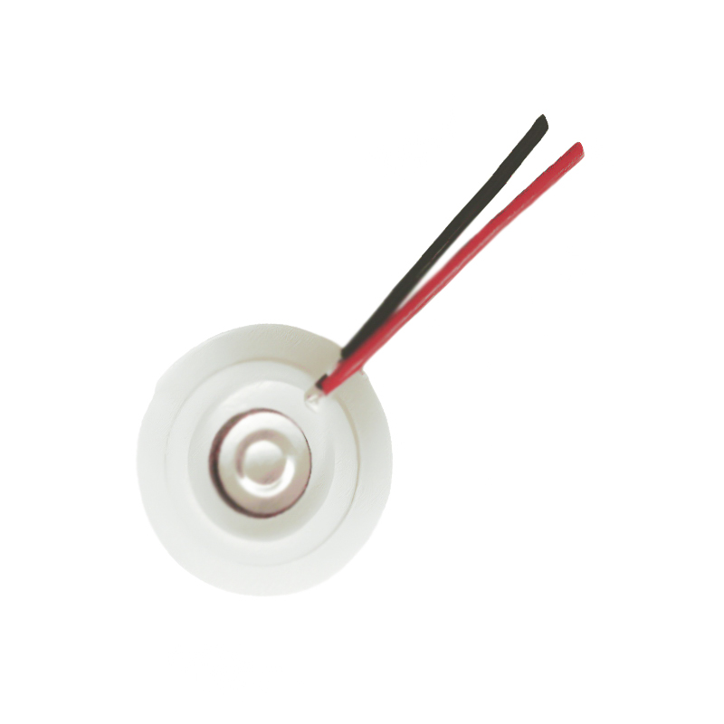 16-112kHz Fan Beauty Humidifier Misting Tablet Spray Hole Tablet Mesh Mesh Misting Dulang Stainless Steel Mesh Ultrasonic Misting Tablet Aromaterapi Essential Oil Humidification