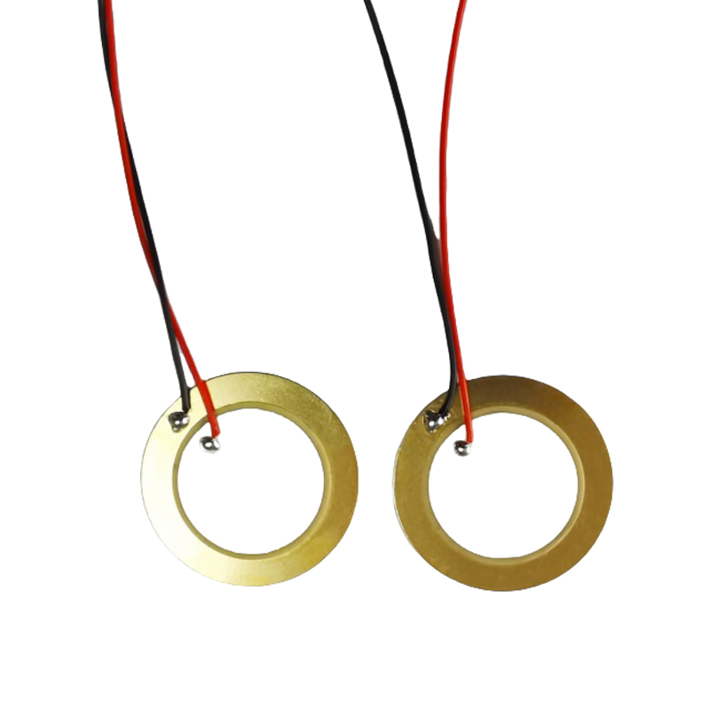 Piezoelektrik seramik waferpiezoelectric ringpiezoelectric wafertransducer waferultrasonic wafer