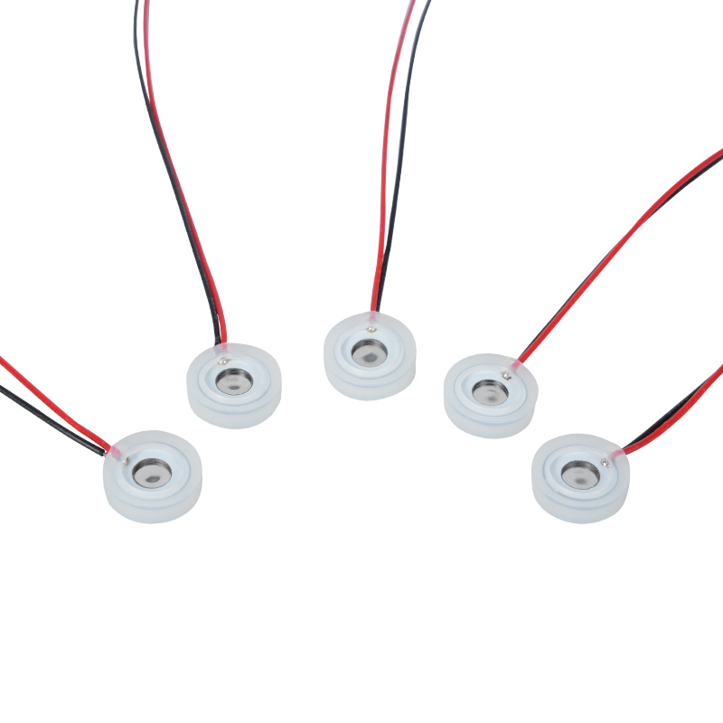 10mm mikro-kecil piezoelektrik mikro-mesh nebulizer sekeping mesin basuh hidung basah lembab mata semburan minyak pati aromaterapi berbentuk mikro pembasmian kecil pembasmian nebulizer khas, kuasa lubang semburan mikro kecil