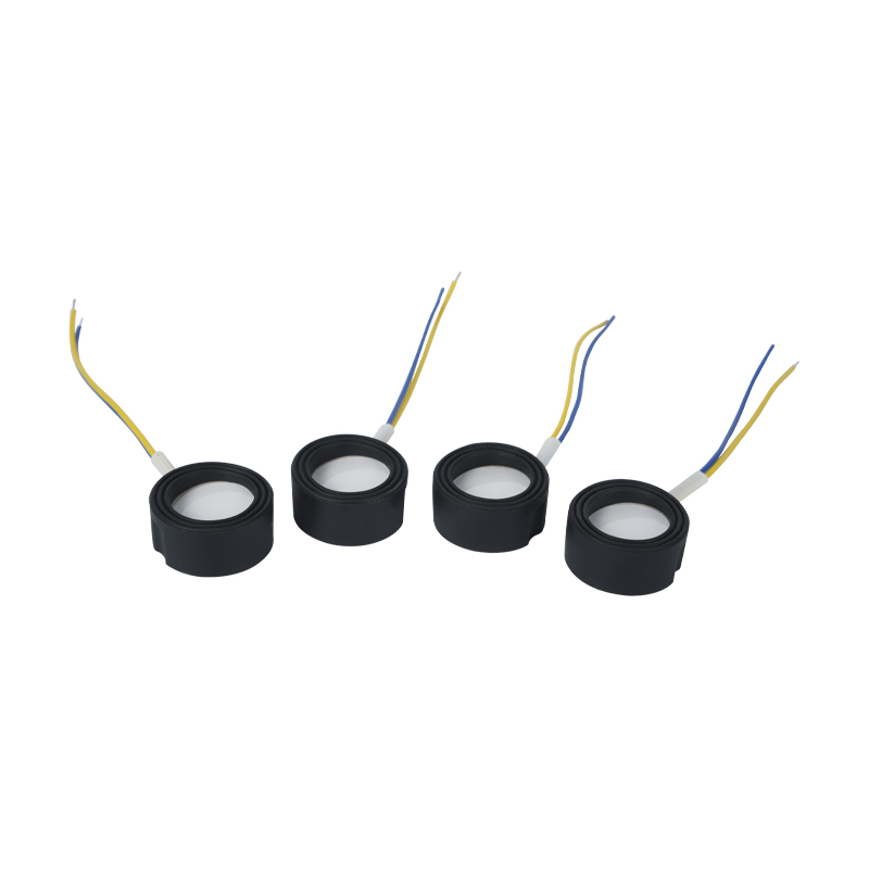 25mm1.7MHz ultrasonik frekuensi tinggi atomization footbath wigwam awan kabus landskap banyak atomisasi piezoelektrik transducer seramik berayun kuasa tinggi 220v36w