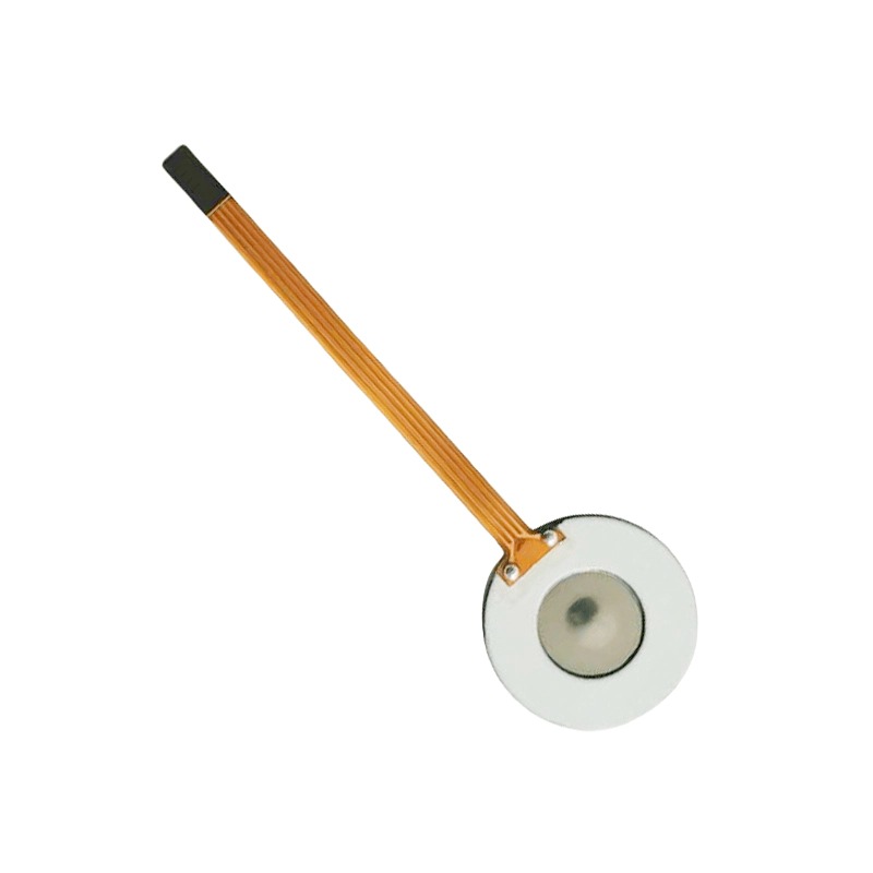 Polimer Pi Film Piezo Atomizer Membantu Berinovasi Fungsi Atomisasi Peranti Rumah Pintar